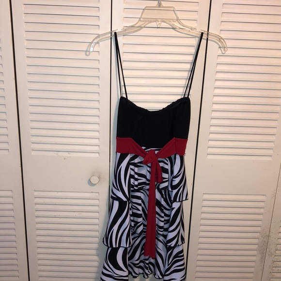 Sweet Storm Zebra Dress - Picture 2 of 3